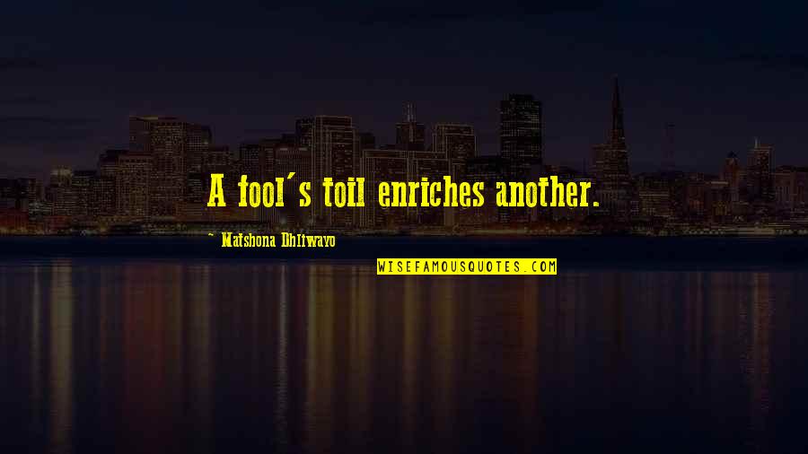 Ed Headrick Quotes By Matshona Dhliwayo: A fool's toil enriches another.