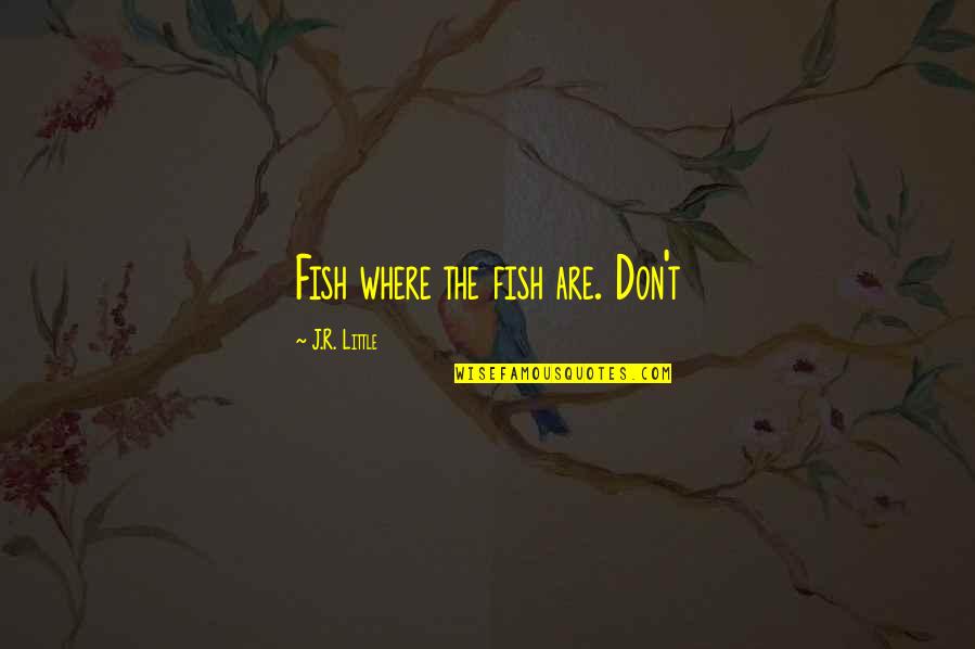 Ed Kluz Quotes By J.R. Little: Fish where the fish are. Don't
