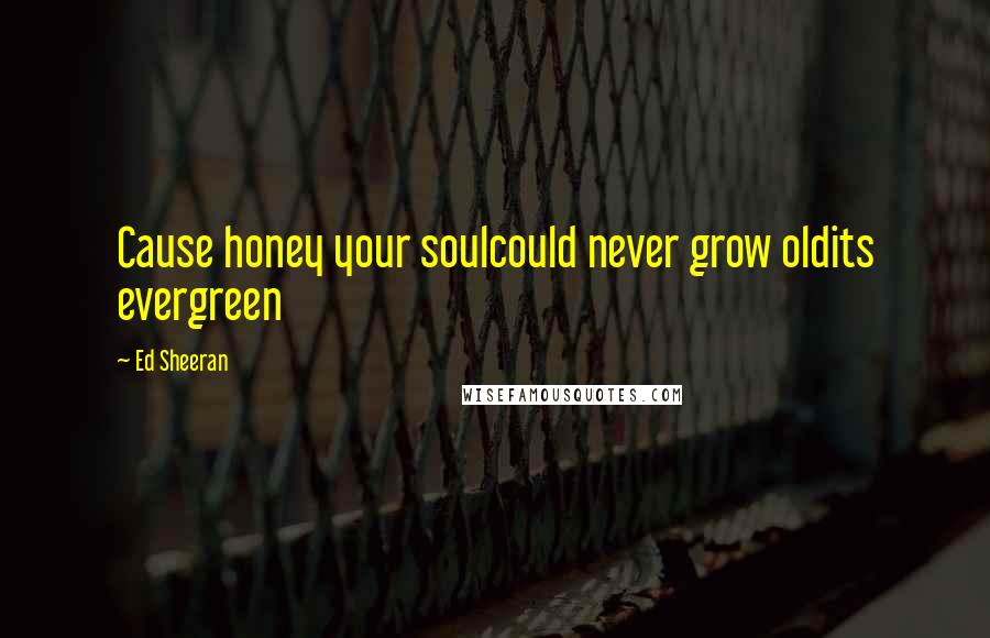 Ed Sheeran quotes: Cause honey your soulcould never grow oldits evergreen