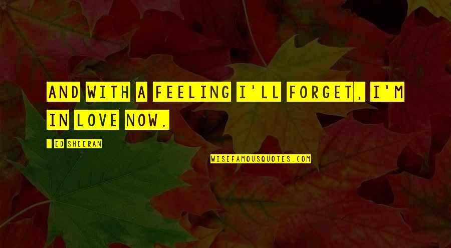 Ed Sheeran Quotes By Ed Sheeran: And with a feeling I'll forget, I'm in