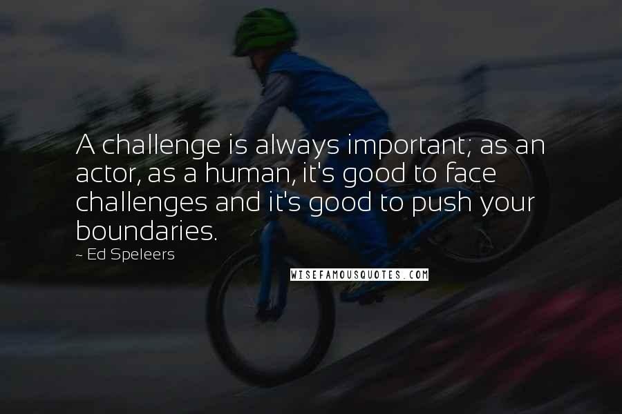 Ed Speleers quotes: A challenge is always important; as an actor, as a human, it's good to face challenges and it's good to push your boundaries.