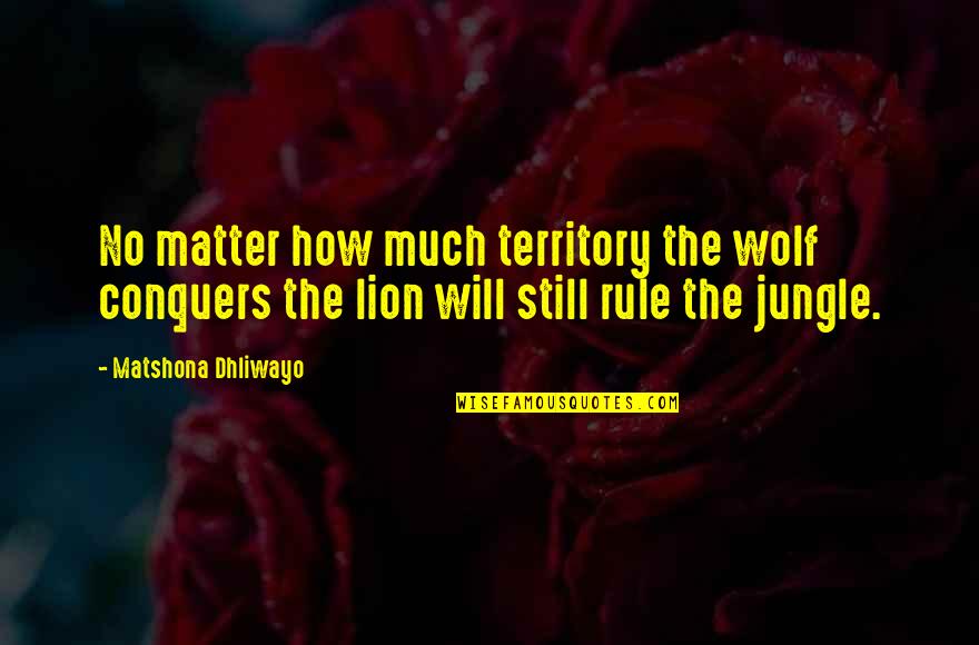 Edam Quotes By Matshona Dhliwayo: No matter how much territory the wolf conquers