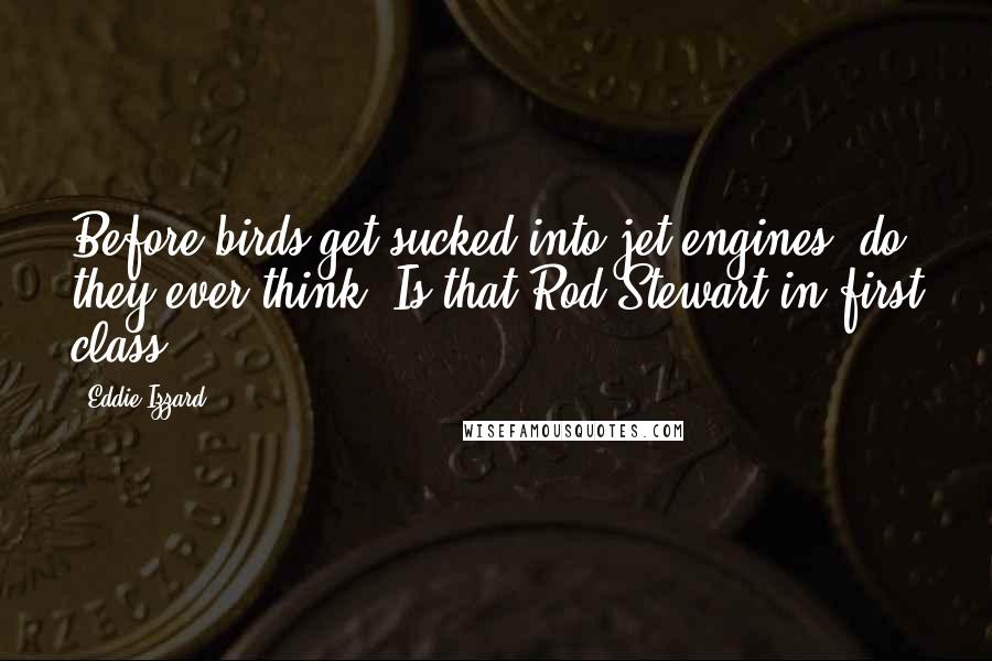 Eddie Izzard quotes: Before birds get sucked into jet engines, do they ever think, Is that Rod Stewart in first class?