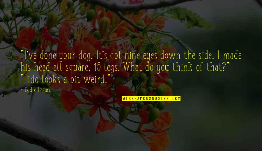 Eddie O'sullivan Funny Quotes By Eddie Izzard: "I've done your dog. It's got nine eyes Eddie O'sullivan Funny Quotes By Eddie Izzard: "I've done your dog. It's got nine eyes