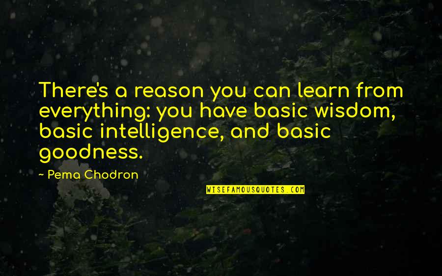 Eddys Quotes By Pema Chodron: There's a reason you can learn from everything: Eddys Quotes By Pema Chodron: There's a reason you can learn from everything: