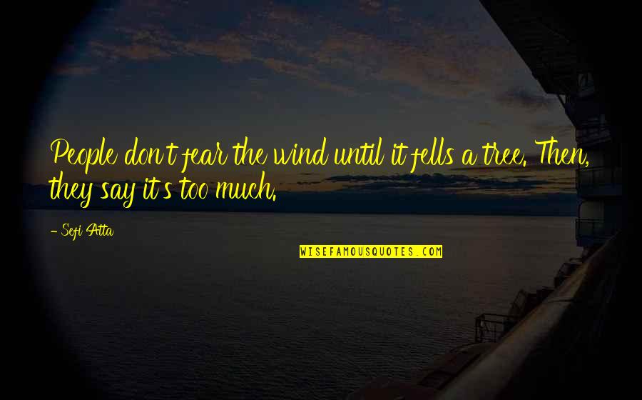 Edelsteine Online Quotes By Sefi Atta: People don't fear the wind until it fells