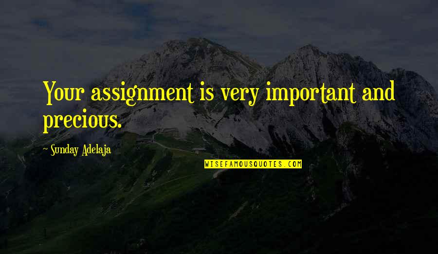 Edelyn Holbox Quotes By Sunday Adelaja: Your assignment is very important and precious. Edelyn Holbox Quotes By Sunday Adelaja: Your assignment is very important and precious.