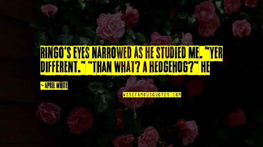 Eden The Affair Quotes By April White: Ringo's eyes narrowed as he studied me. "Yer