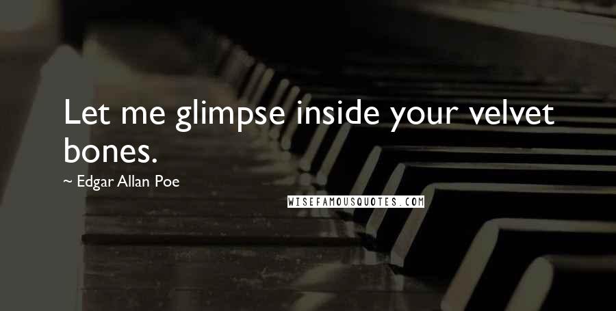 Edgar Allan Poe quotes: Let me glimpse inside your velvet bones. Edgar Allan Poe quotes: Let me glimpse inside your velvet bones.