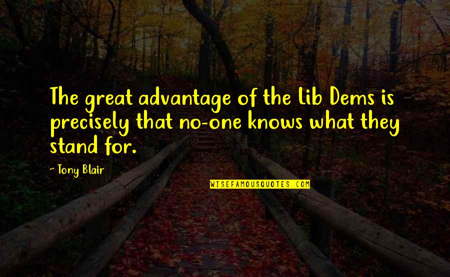 Edgar Allan Poe The Cask Of Amontillado Quotes By Tony Blair: The great advantage of the Lib Dems is