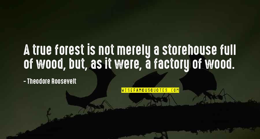 Edgar J Mohn Quotes By Theodore Roosevelt: A true forest is not merely a storehouse