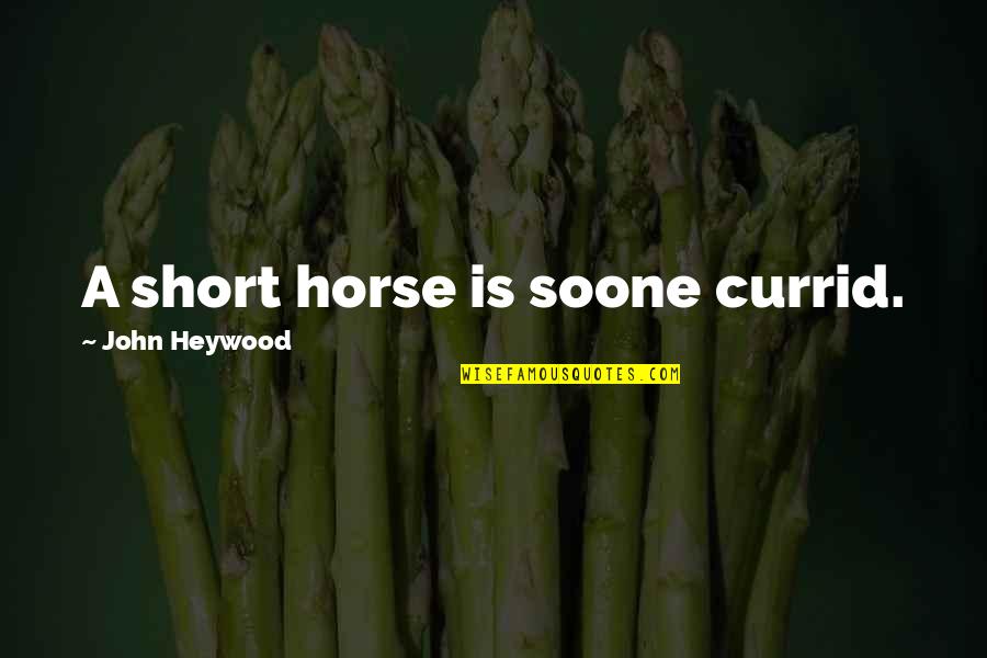Edgardo Reyes Quotes By John Heywood: A short horse is soone currid. Edgardo Reyes Quotes By John Heywood: A short horse is soone currid.