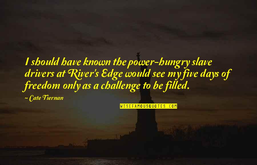 Edge Quotes By Cate Tiernan: I should have known the power-hungry slave drivers