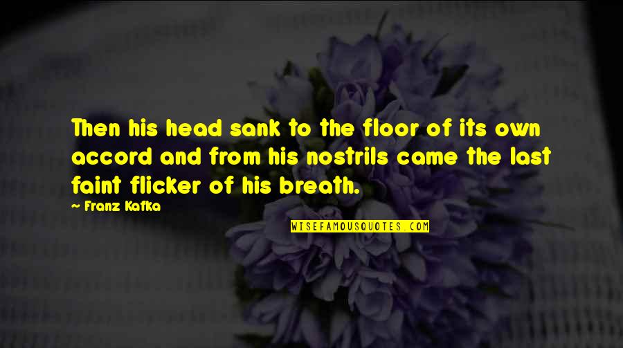 Ediberto Soto Cora Quotes By Franz Kafka: Then his head sank to the floor of