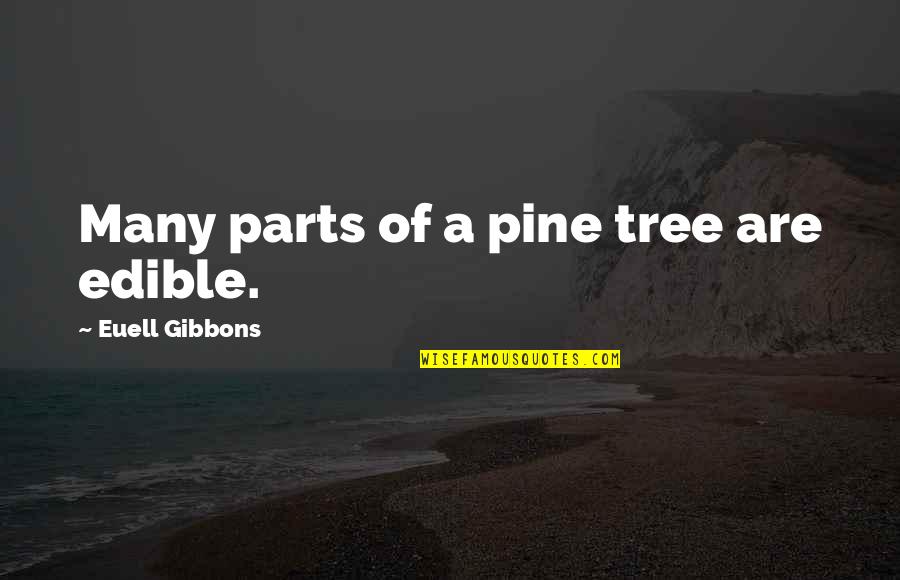 Edible Quotes By Euell Gibbons: Many parts of a pine tree are edible.
