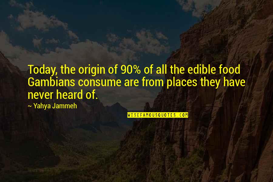 Edible Quotes By Yahya Jammeh: Today, the origin of 90% of all the