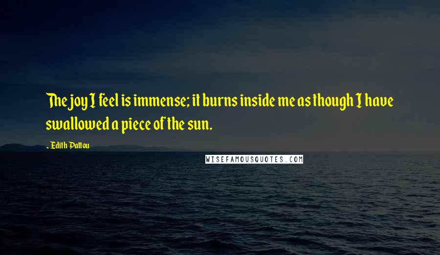 Edith Pattou quotes: The joy I feel is immense; it burns inside me as though I have swallowed a piece of the sun.