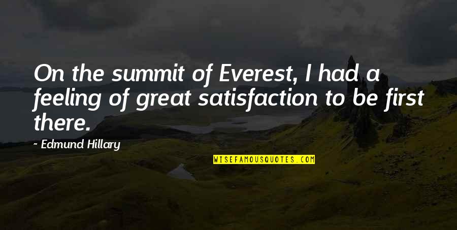 Edmund Hillary Quotes By Edmund Hillary: On the summit of Everest, I had a