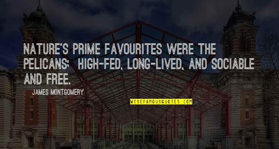 Edmund Jennings Randolph Quotes By James Montgomery: Nature's prime favourites were the Pelicans; High-fed, long-lived,