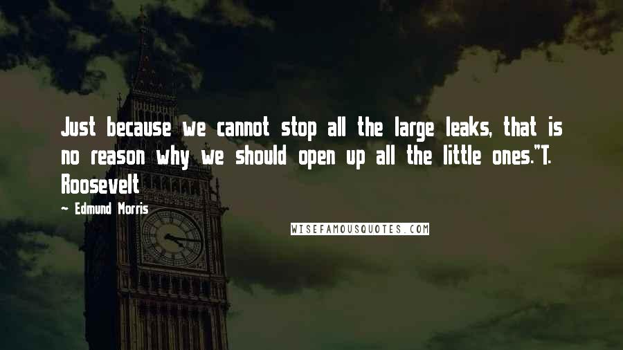 Edmund Morris quotes: Just because we cannot stop all the large leaks, that is no reason why we should open up all the little ones."T. Roosevelt