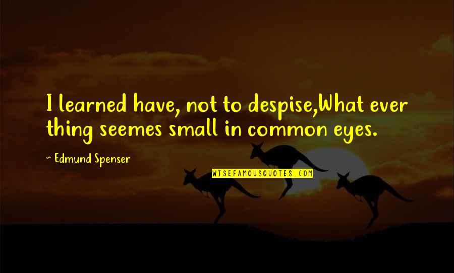 Edmund Spenser Best Quotes By Edmund Spenser: I learned have, not to despise,What ever thing
