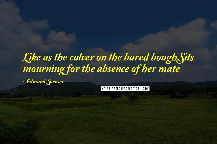 Edmund Spenser quotes: Like as the culver on the bared boughSits mourning for the absence of her mate