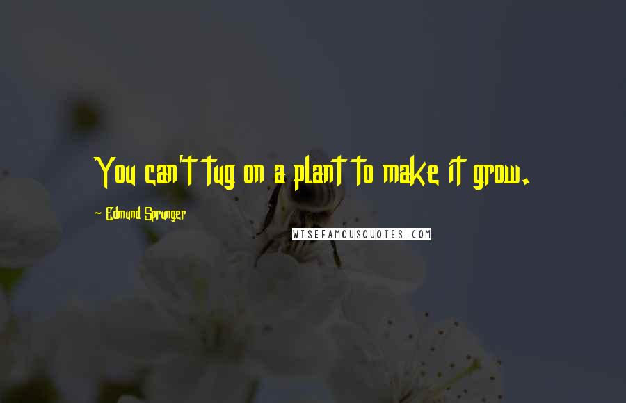 Edmund Sprunger quotes: You can't tug on a plant to make it grow.