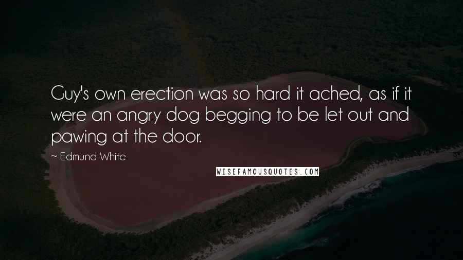 Edmund White quotes: Guy's own erection was so hard it ached, as if it were an angry dog begging to be let out and pawing at the door. Edmund White quotes: Guy's own erection was so hard it ached, as if it were an angry dog begging to be let out and pawing at the door.