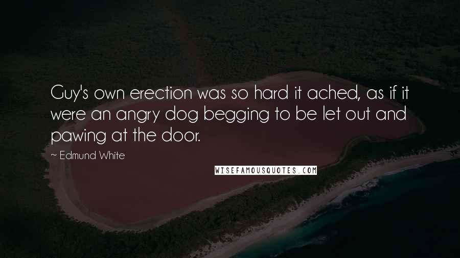 Edmund White quotes: Guy's own erection was so hard it ached, as if it were an angry dog begging to be let out and pawing at the door.