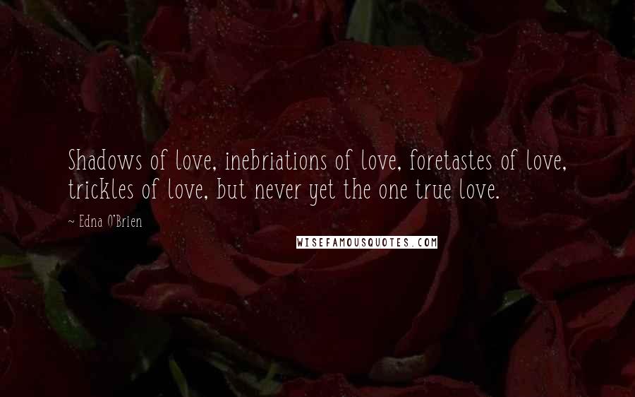 Edna O'Brien quotes: Shadows of love, inebriations of love, foretastes of love, trickles of love, but never yet the one true love.