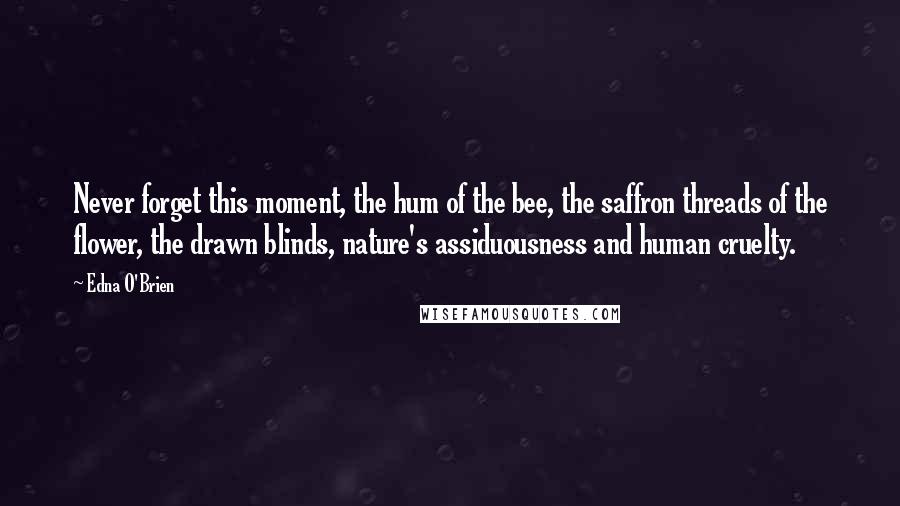 Edna O'Brien quotes: Never forget this moment, the hum of the bee, the saffron threads of the flower, the drawn blinds, nature's assiduousness and human cruelty.