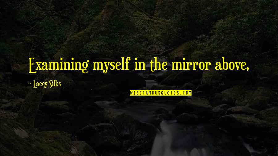 Edna Pontellier Quotes By Lacey Silks: Examining myself in the mirror above,