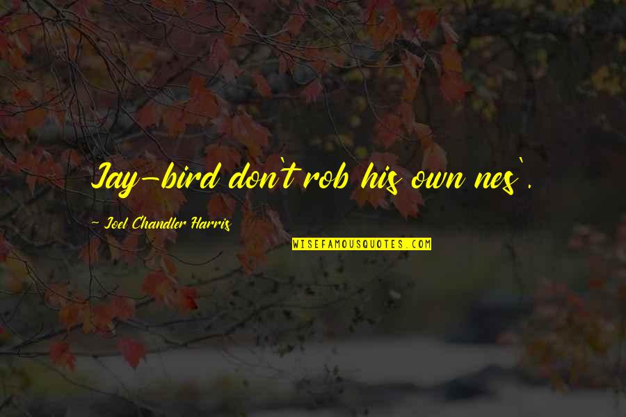 Edouard Le Berquier Quotes By Joel Chandler Harris: Jay-bird don't rob his own nes'. Edouard Le Berquier Quotes By Joel Chandler Harris: Jay-bird don't rob his own nes'.