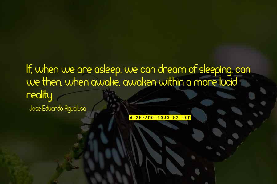 Eduardo Quotes By Jose Eduardo Agualusa: If, when we are asleep, we can dream