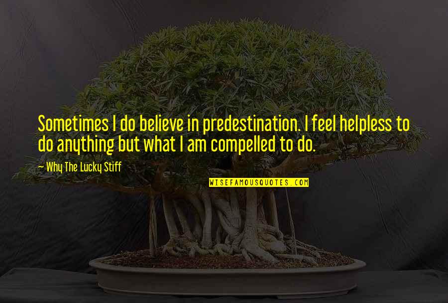 Educated Idiots Quotes By Why The Lucky Stiff: Sometimes I do believe in predestination. I feel Educated Idiots Quotes By Why The Lucky Stiff: Sometimes I do believe in predestination. I feel