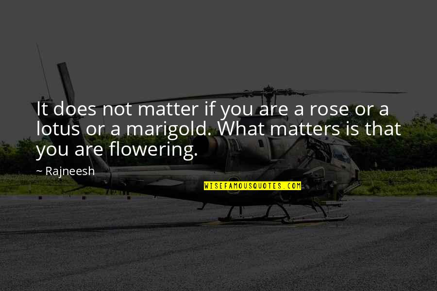 Educatie Fizica Quotes By Rajneesh: It does not matter if you are a
