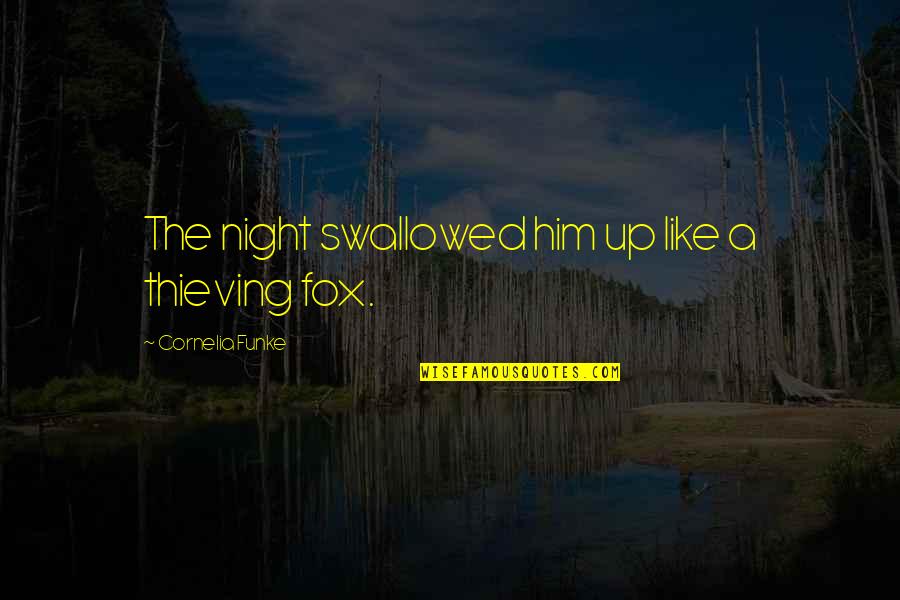 Education And Crayons Quotes By Cornelia Funke: The night swallowed him up like a thieving