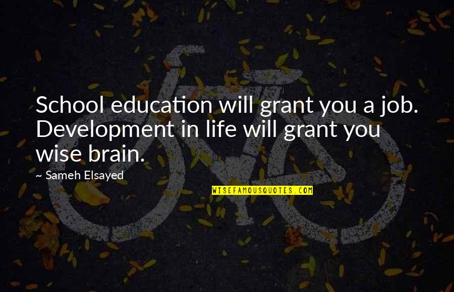 Education And Development Quotes By Sameh Elsayed: School education will grant you a job. Development