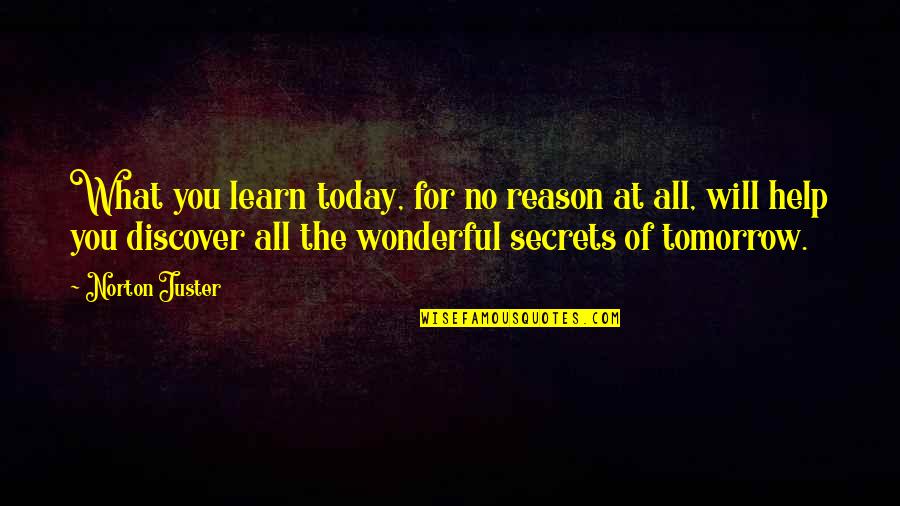 Education And Science Quotes By Norton Juster: What you learn today, for no reason at