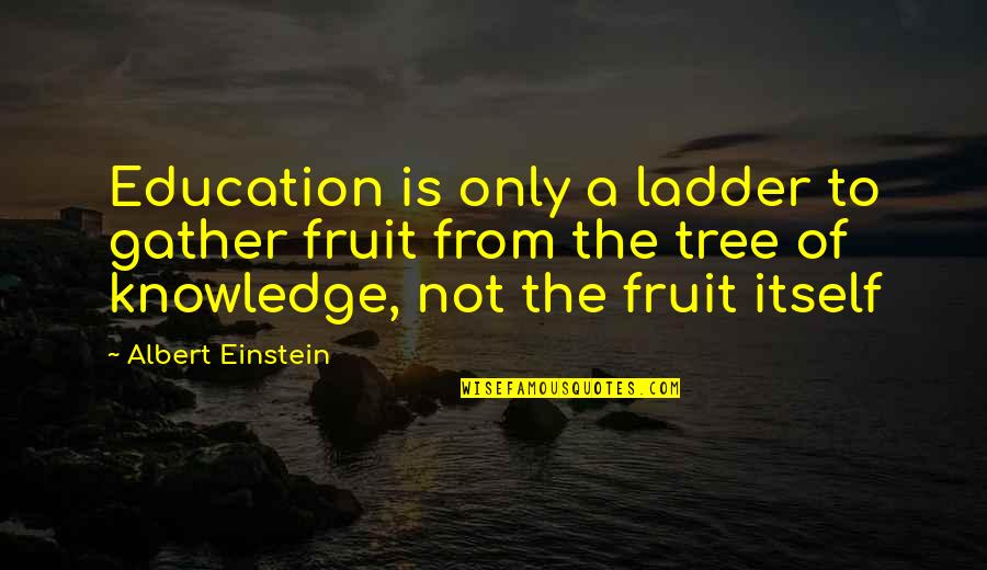 Education By Albert Einstein Quotes By Albert Einstein: Education is only a ladder to gather fruit