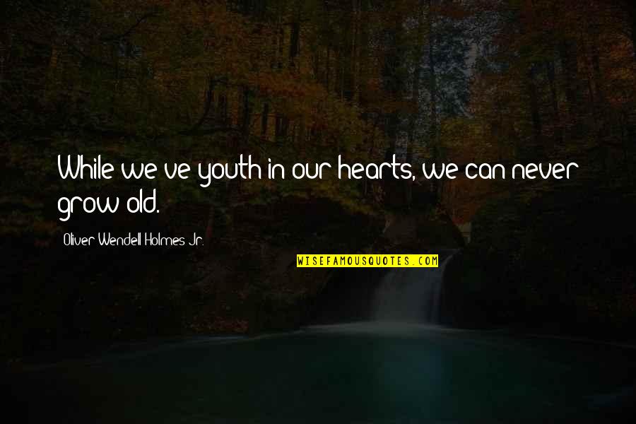 Education Cost Quotes By Oliver Wendell Holmes Jr.: While we've youth in our hearts, we can
