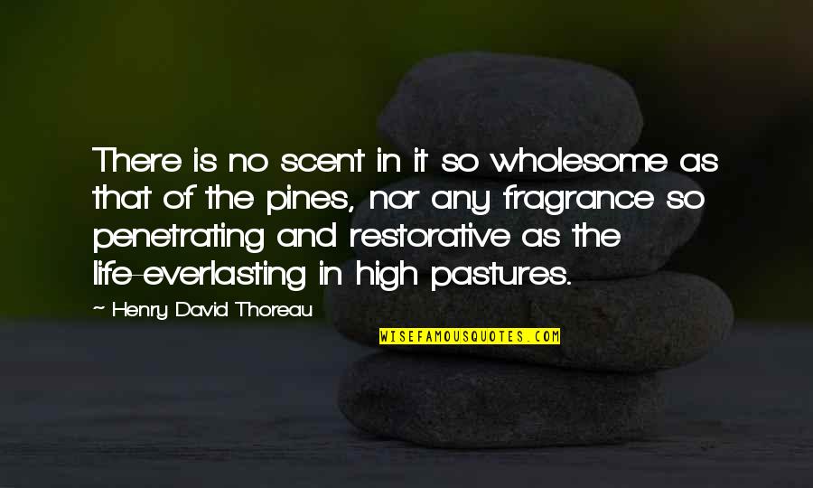 Education From The Bible Quotes By Henry David Thoreau: There is no scent in it so wholesome