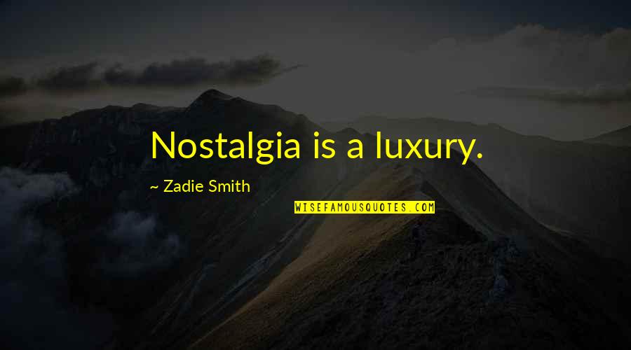 Education Inequality Quotes By Zadie Smith: Nostalgia is a luxury.