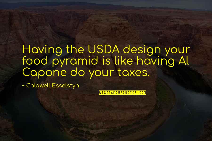 Education Key To Success Quotes By Caldwell Esselstyn: Having the USDA design your food pyramid is