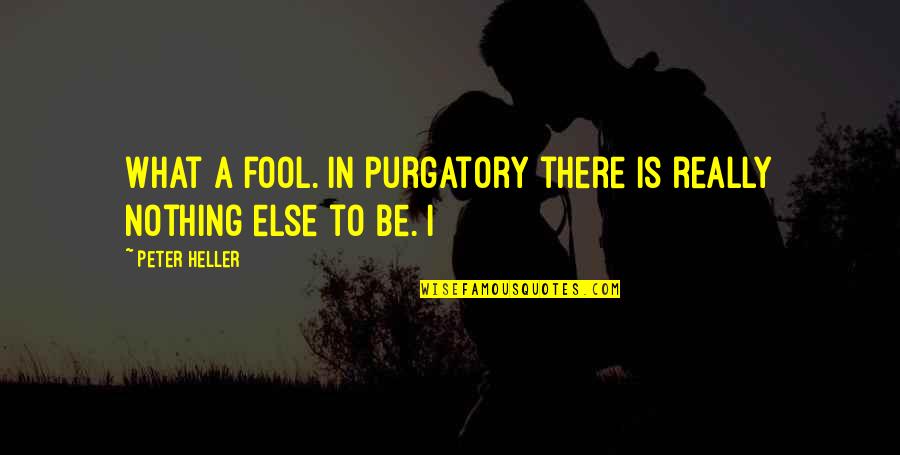 Educational Goals And Objectives Quotes By Peter Heller: What a fool. In purgatory there is really