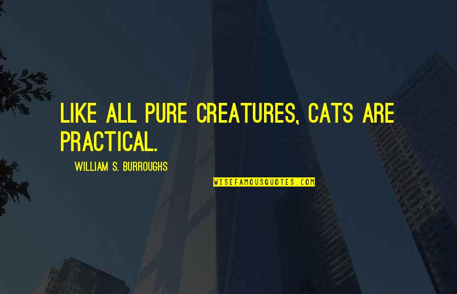 Educationism And The Irony Quotes By William S. Burroughs: Like all pure creatures, cats are practical. Educationism And The Irony Quotes By William S. Burroughs: Like all pure creatures, cats are practical.