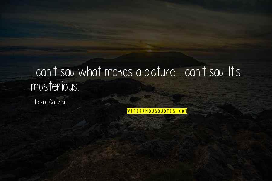 Edugoodies Quotes By Harry Callahan: I can't say what makes a picture. I Edugoodies Quotes By Harry Callahan: I can't say what makes a picture. I