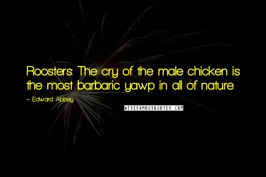 Edward Abbey quotes: Roosters: The cry of the male chicken is the most barbaric yawp in all of nature.