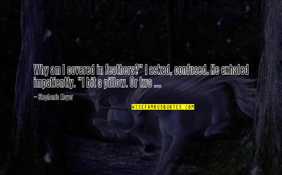 Edward Bella Quotes By Stephenie Meyer: Why am I covered in feathers?" I asked, Edward Bella Quotes By Stephenie Meyer: Why am I covered in feathers?" I asked,