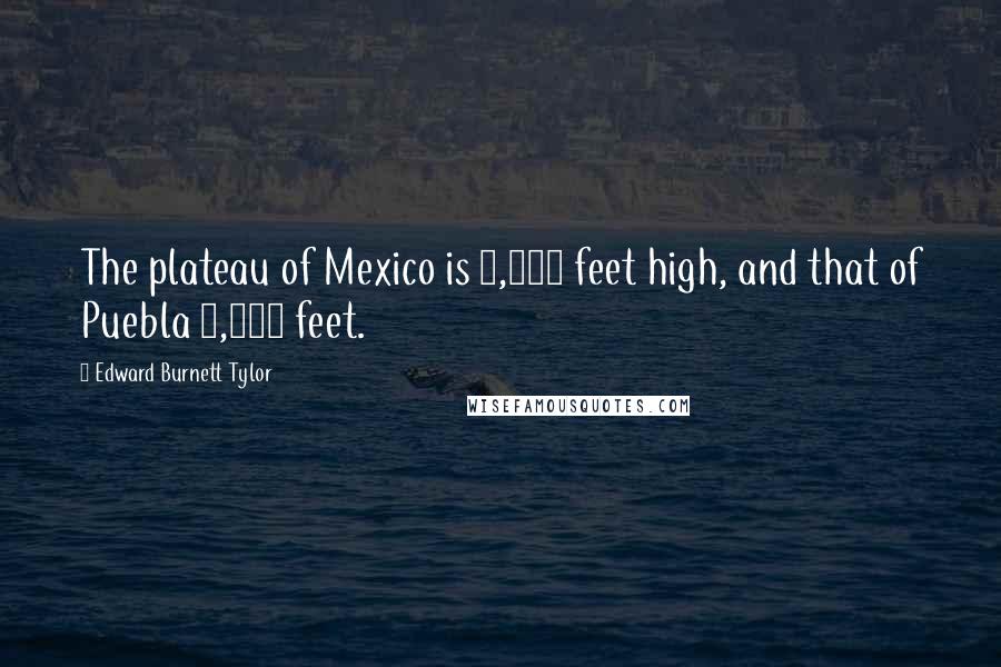Edward Burnett Tylor quotes: The plateau of Mexico is 8,000 feet high, and that of Puebla 9,000 feet.